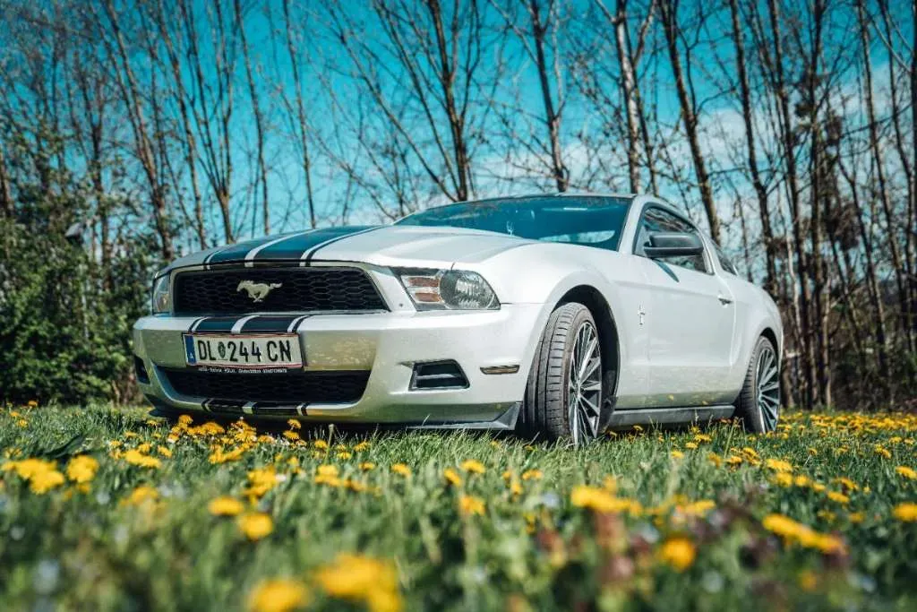 Ford Mustang 2010 photo 3