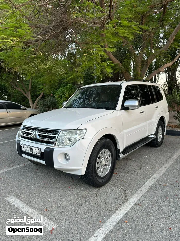 Mitsubishi Pajero 2010 photo 5