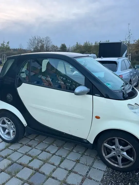 Smart Mc 01