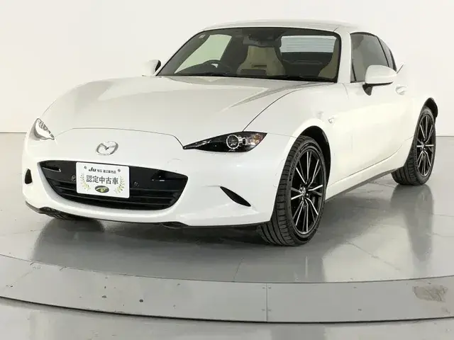 Mitsubishi Lourdstar Rf