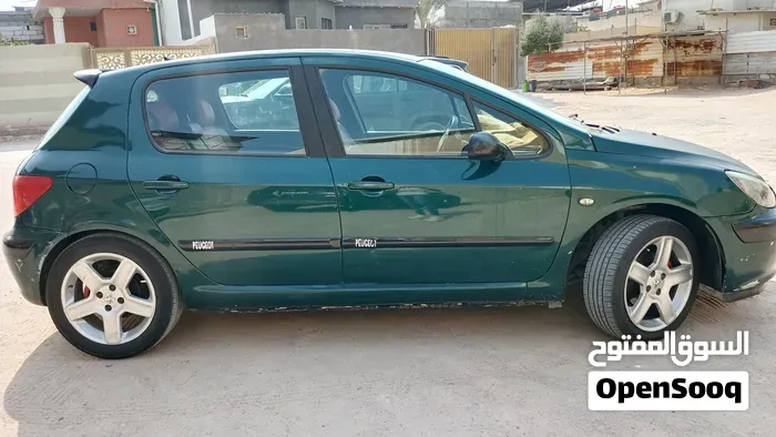 Peugeot 307 2005 photo 3