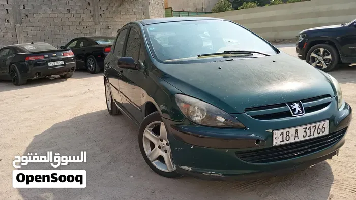 Peugeot 307 2005 photo 2