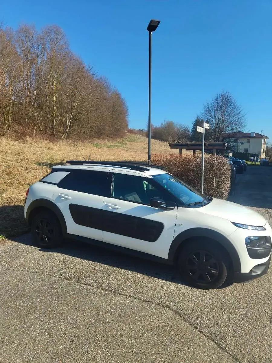 Citroen C4 Cactus 2014 photo 2