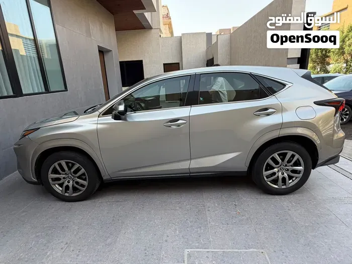 Lexus Nx 300 2020 photo 3