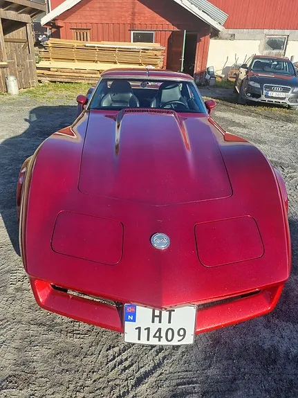 Chevrolet Corvette 1976 photo 4