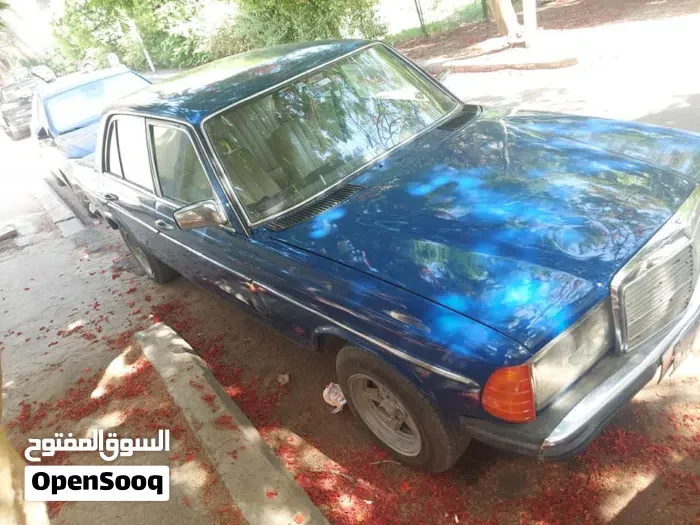 Mercedes-Benz E-Class 1980 photo 2