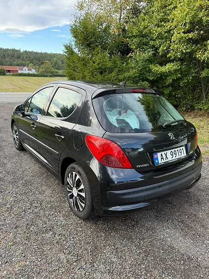 Peugeot 207 2009 photo 5
