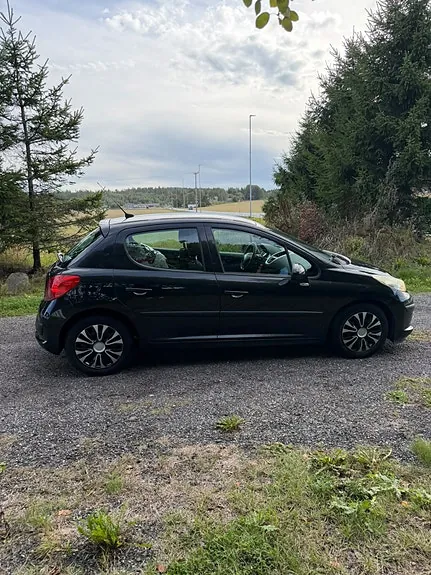 Peugeot 207 2009 photo 4