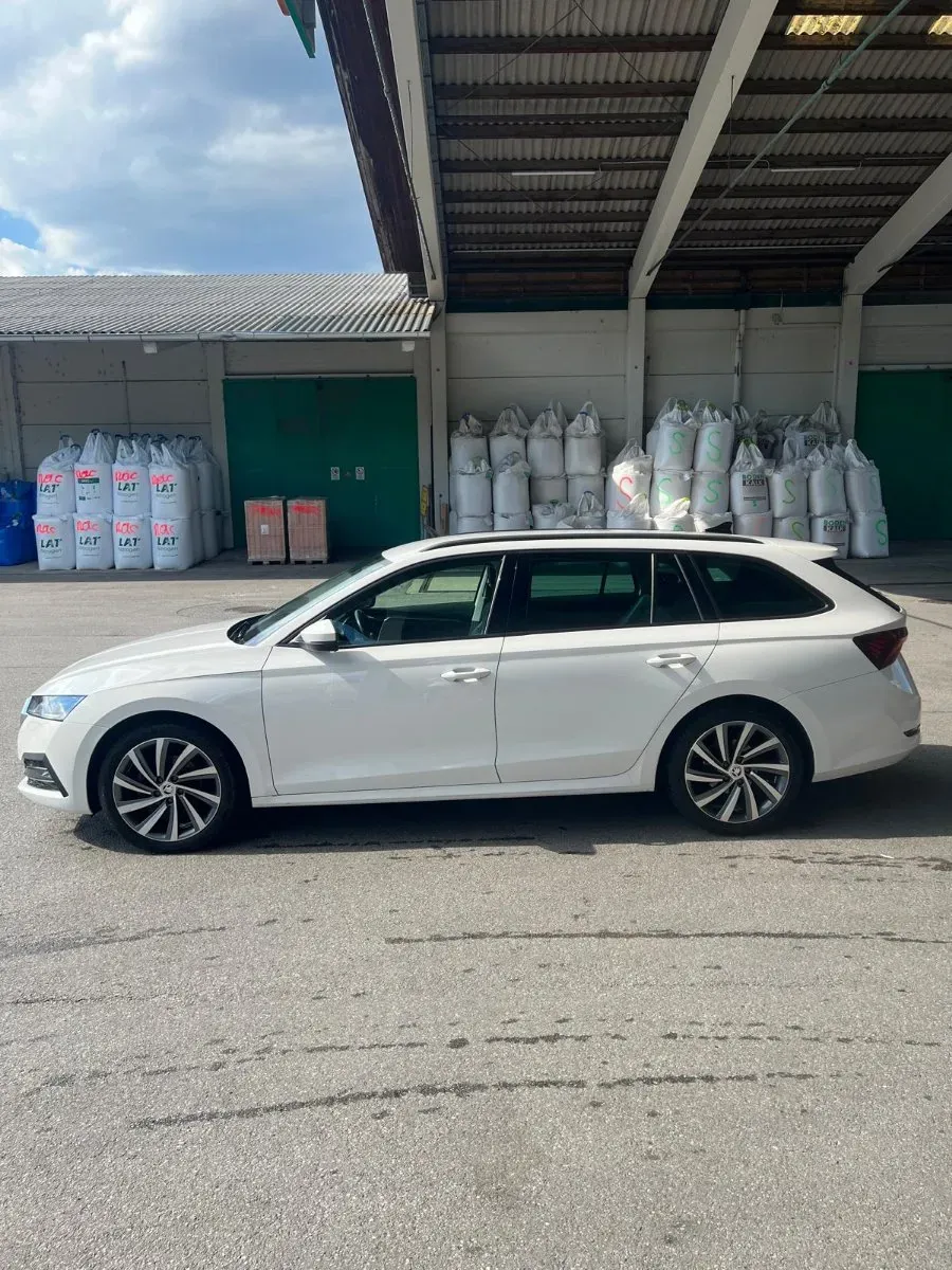 Skoda Octavia 2021 photo 2