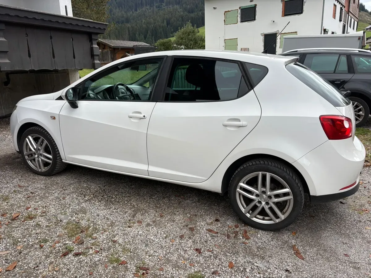 Seat Ibiza 2010 photo 2