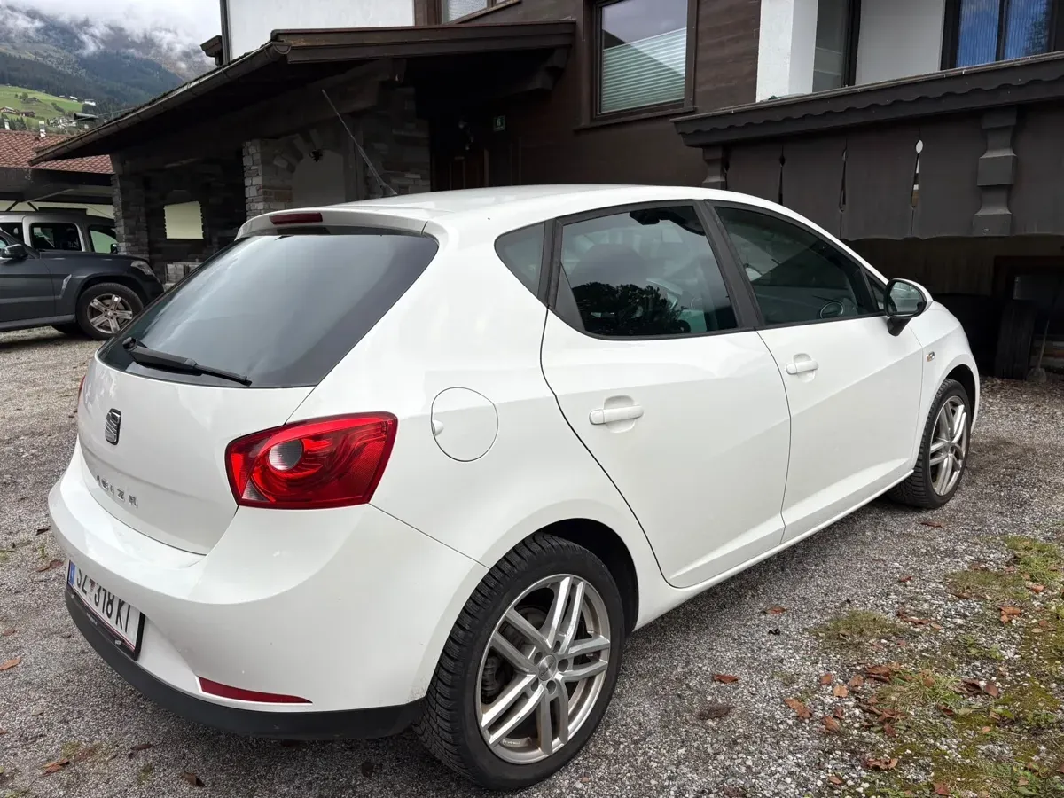 Seat Ibiza 2010 photo 3