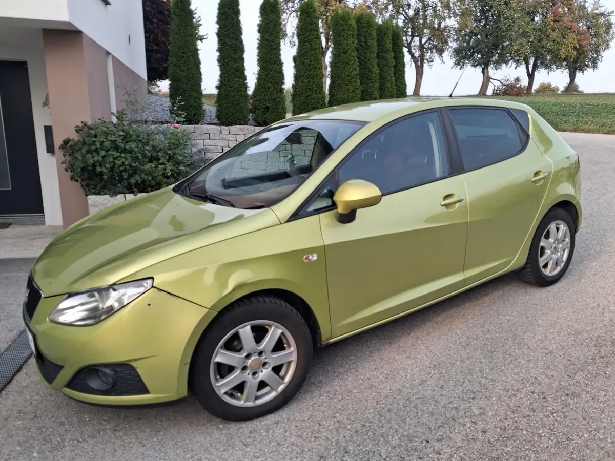Seat Ibiza 2009 photo 3
