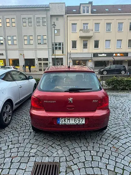 Peugeot 307 2009 photo 5