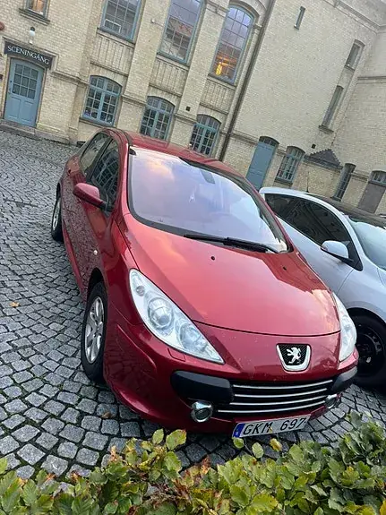 Peugeot 307 2009 photo 2