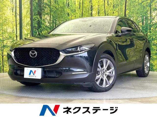 Mitsubishi Cx-30