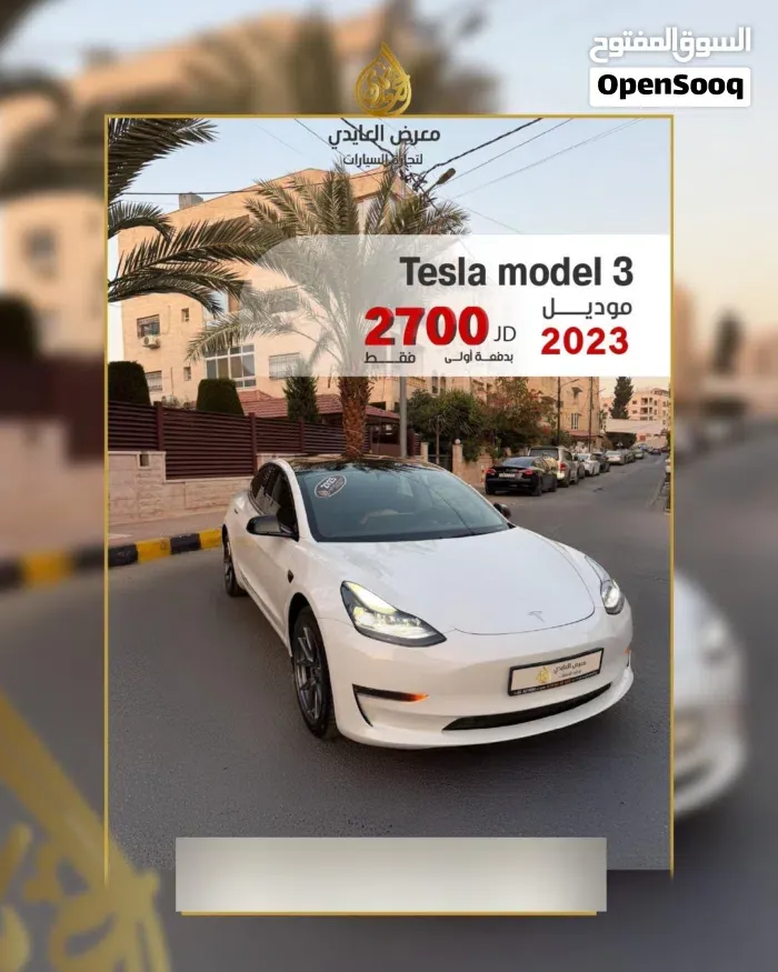 Tesla Model 3 2023 photo 3