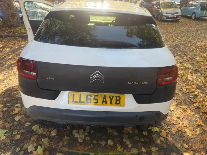 Citroen C4 Cactus 2015 photo 2