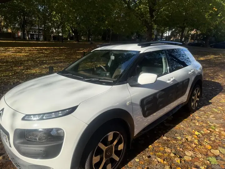 Citroen C4 Cactus 2015 photo 4
