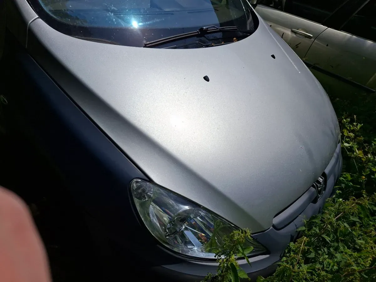 Peugeot 307 2007 photo 2