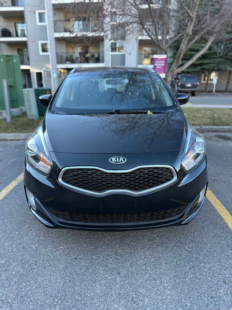 Kia Rondo 2017 photo 2