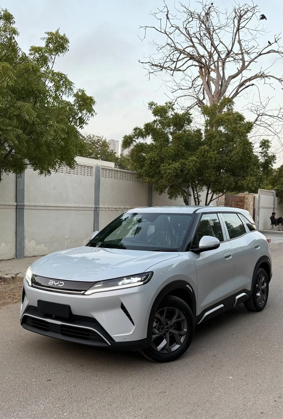 BYD Atto 2