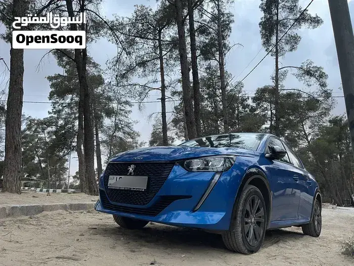Peugeot E-208