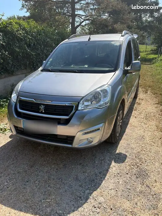 Peugeot Partner Tepee