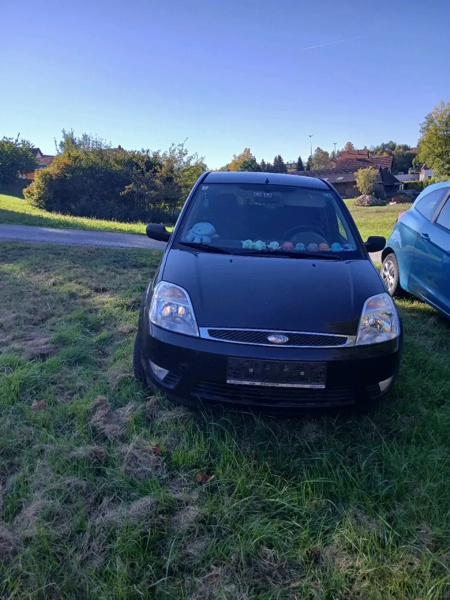 Ford Fiesta 2004 photo 2
