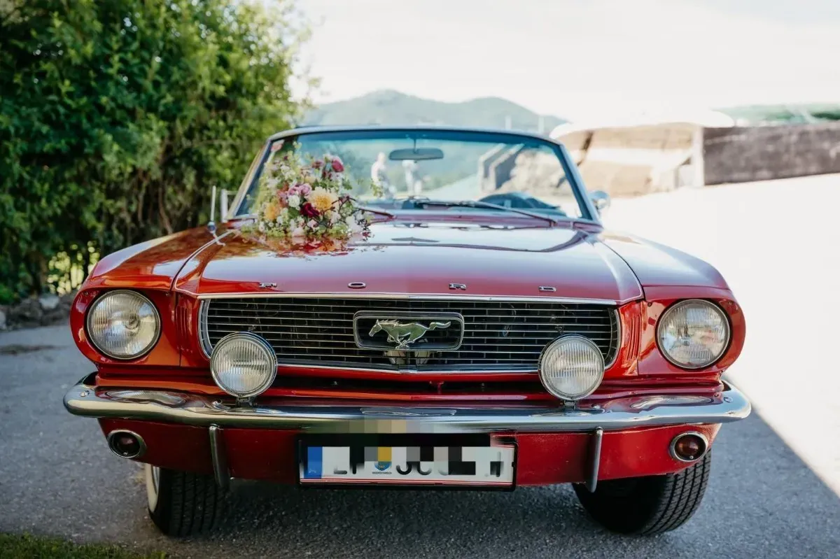 Ford Mustang 1966 photo 2