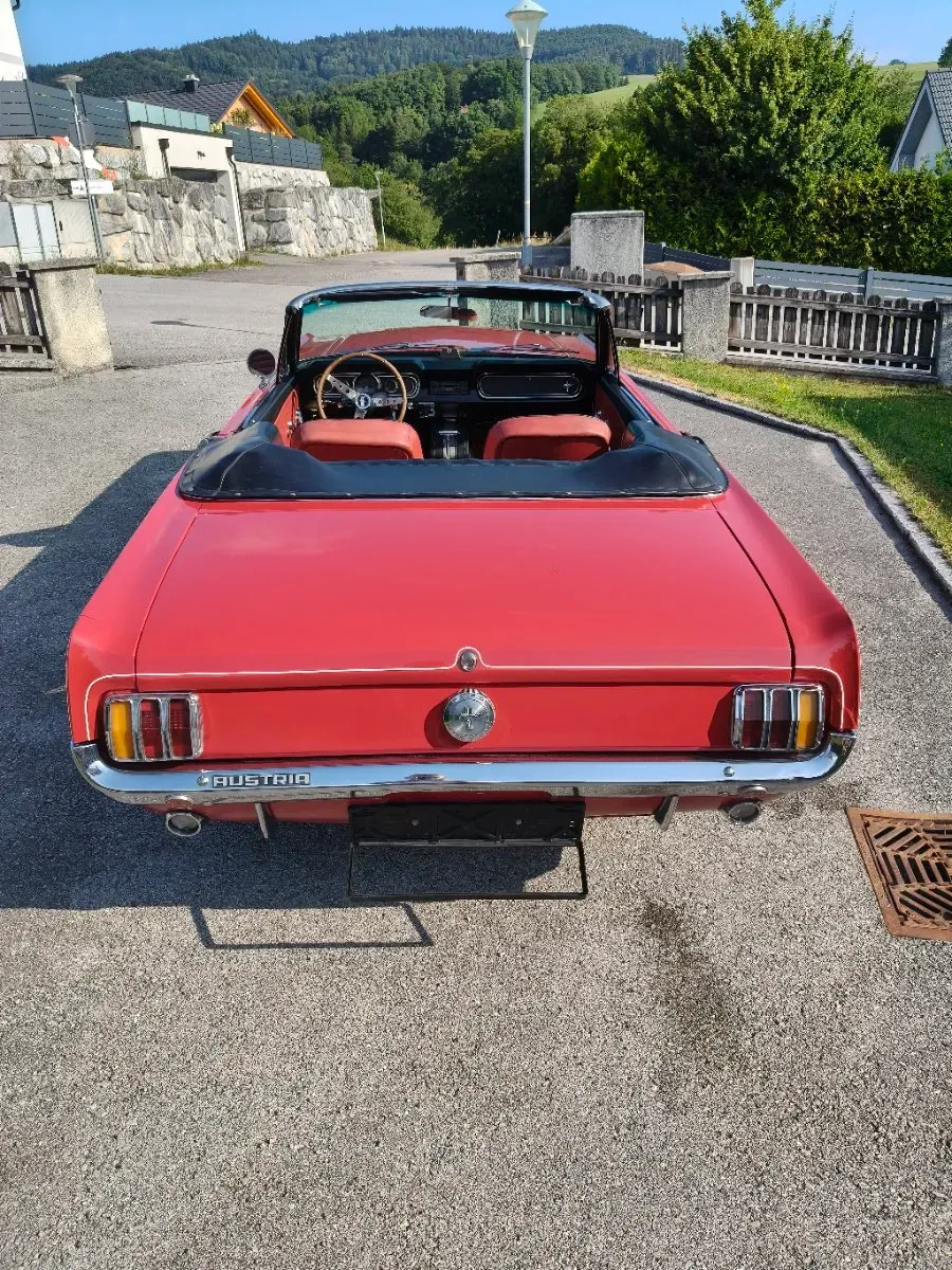 Ford Mustang 1966 photo 3