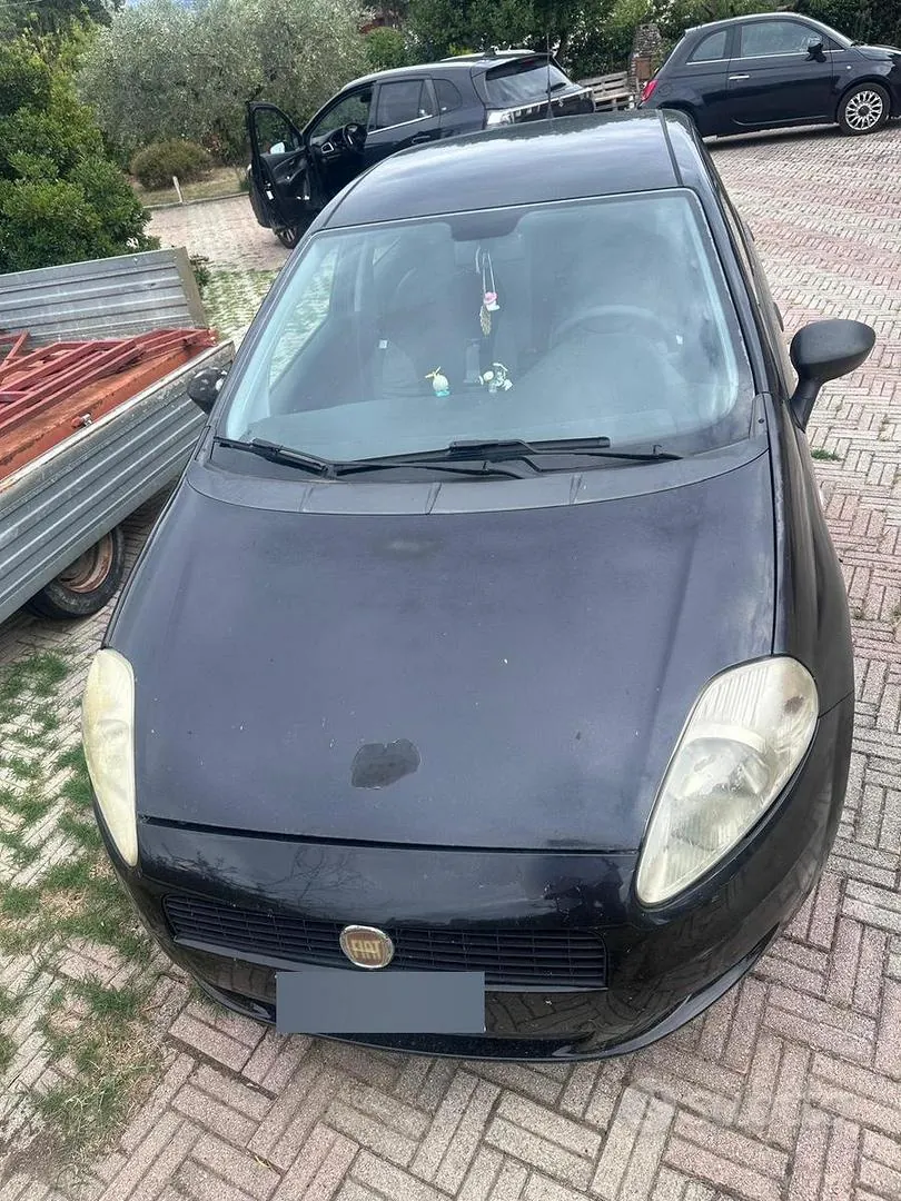 Fiat Punto 2011 photo 5