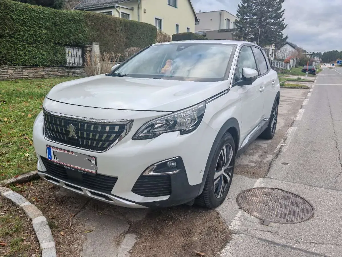 Peugeot 3008 2019 photo 3