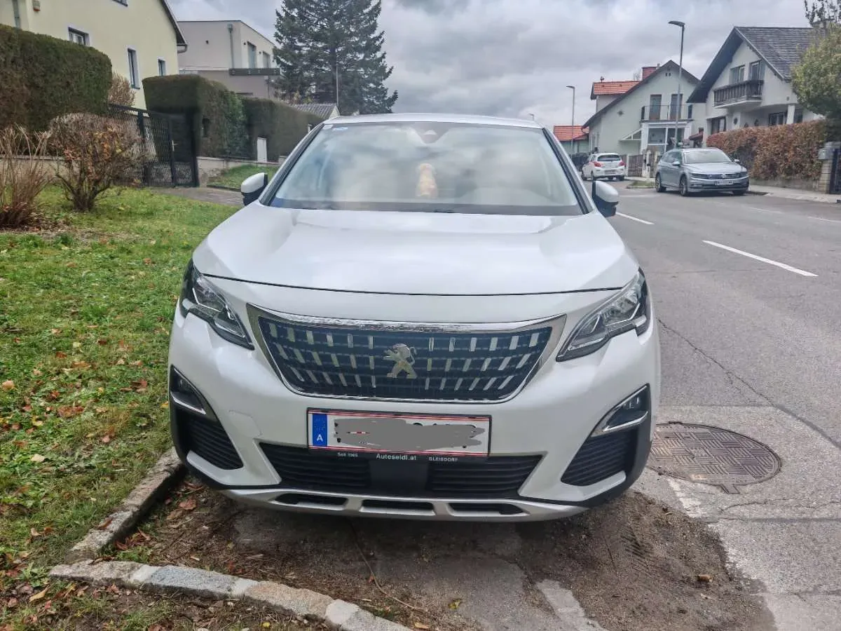 Peugeot 3008 2019 photo 2