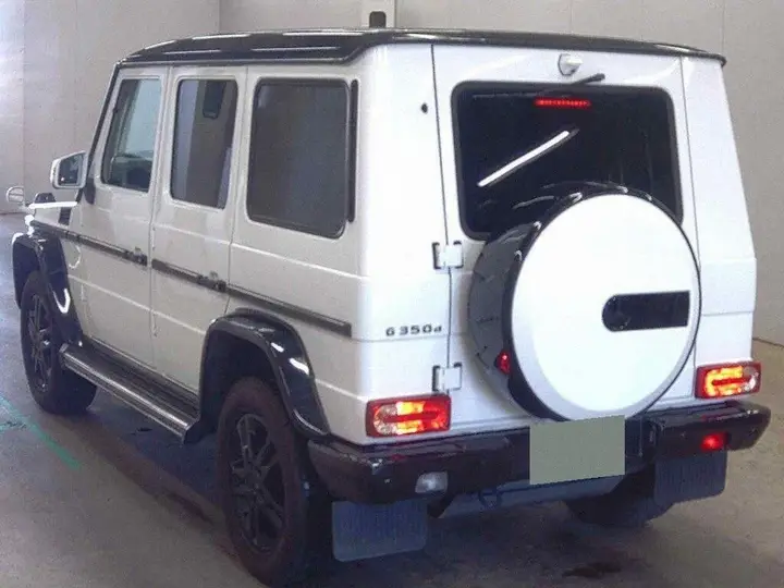Mercedes-Benz G-Class 2017 photo 5