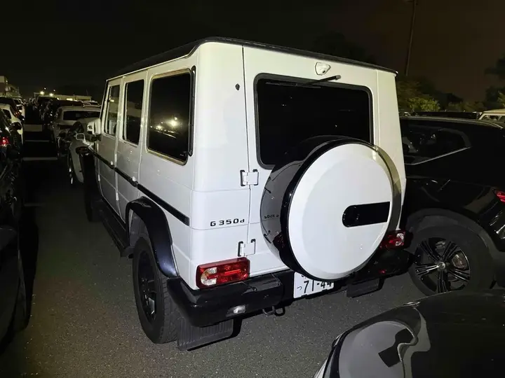 Mercedes-Benz G-Class 2017 photo 4
