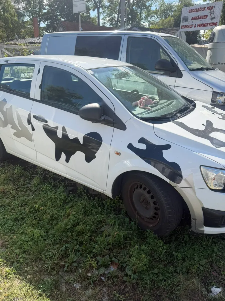 Chevrolet Aveo 2011 photo 3
