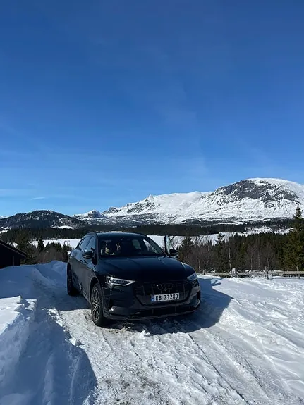 Audi E-Tron 2020 photo 4