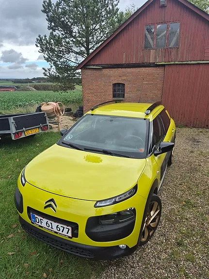 Citroen C4 Cactus 2014 photo 2