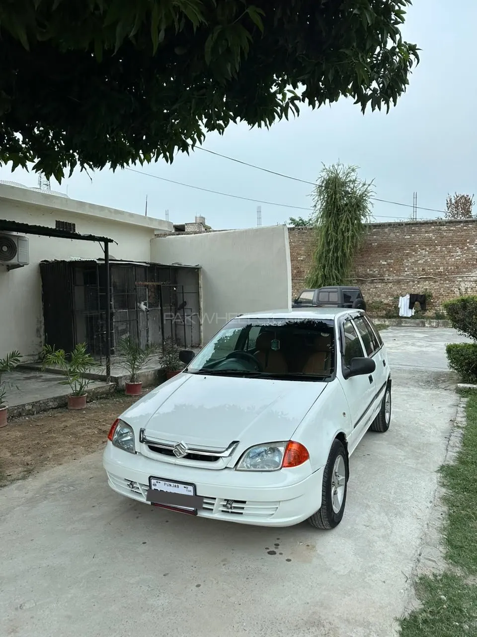 Suzuki Cultus