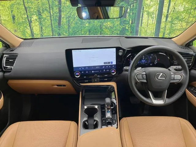 Lexus Nx250 2024 photo 2
