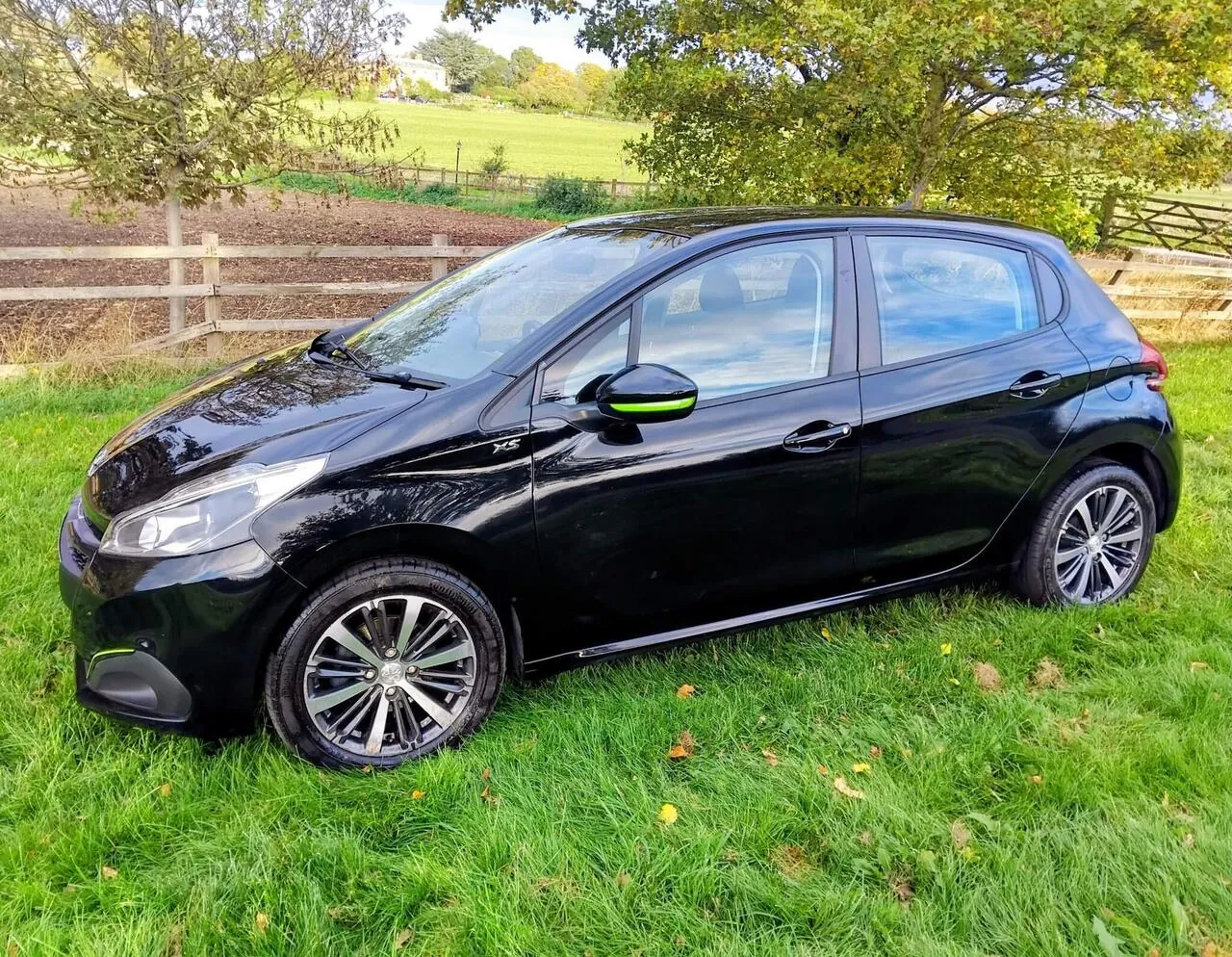 Peugeot 208 2016 photo 3