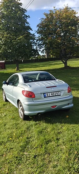 Peugeot 206 2004 photo 2
