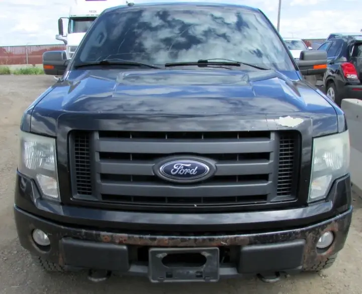 Ford F-150 2009 photo 2