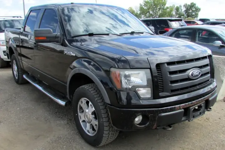 Ford F-150 2009 photo 3