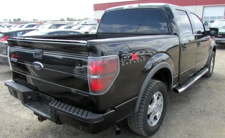 Ford F-150 2009 photo 4
