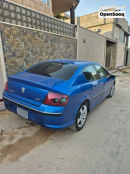 Peugeot 407 2005 photo 5