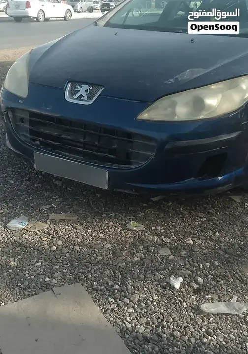 Peugeot 407