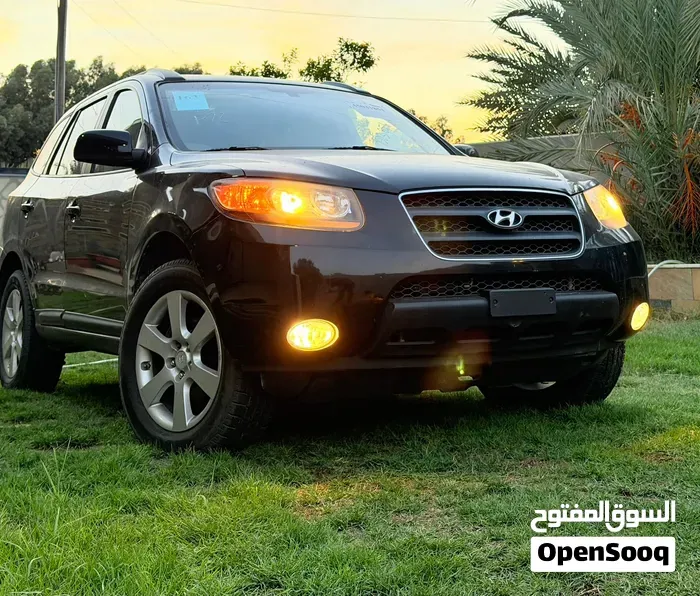 Hyundai Santa Fe 2008 photo 5
