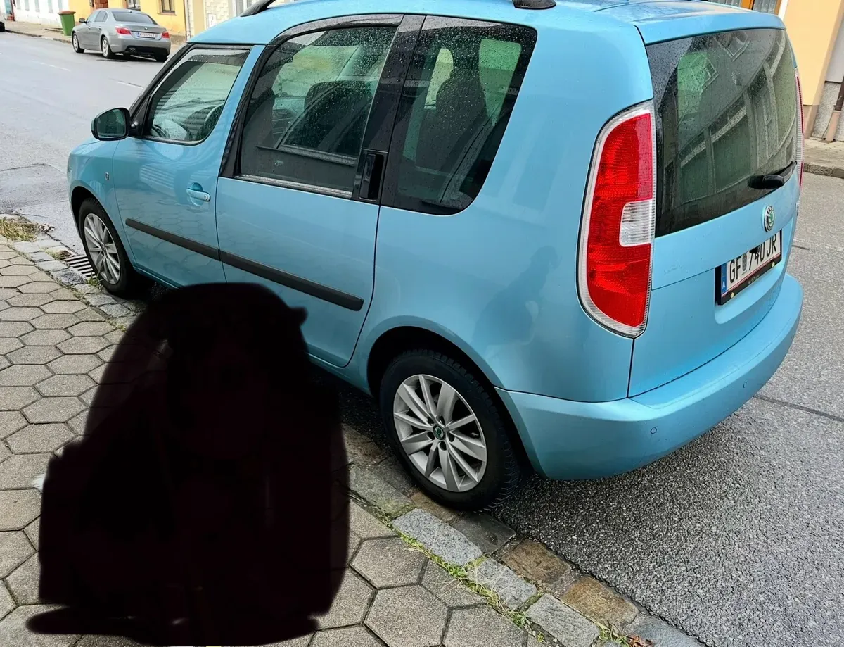 Skoda Roomster 2011 photo 2