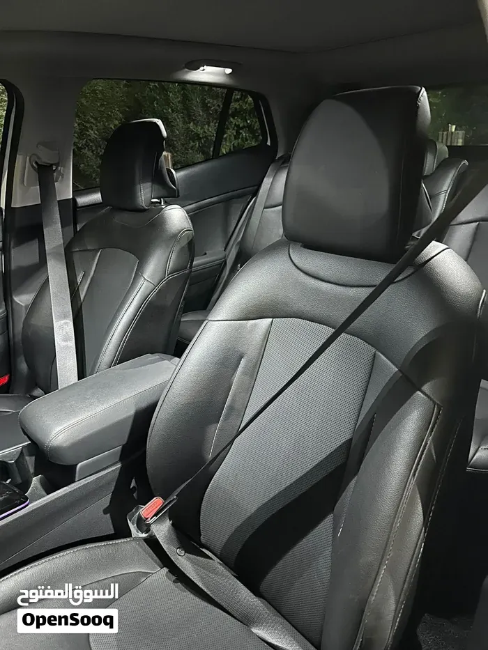 Kia Sportage 2024 photo 3